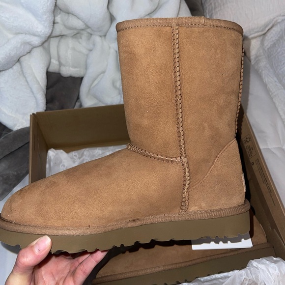 Brand New Chestnut Uggs - Picture 7 of 8